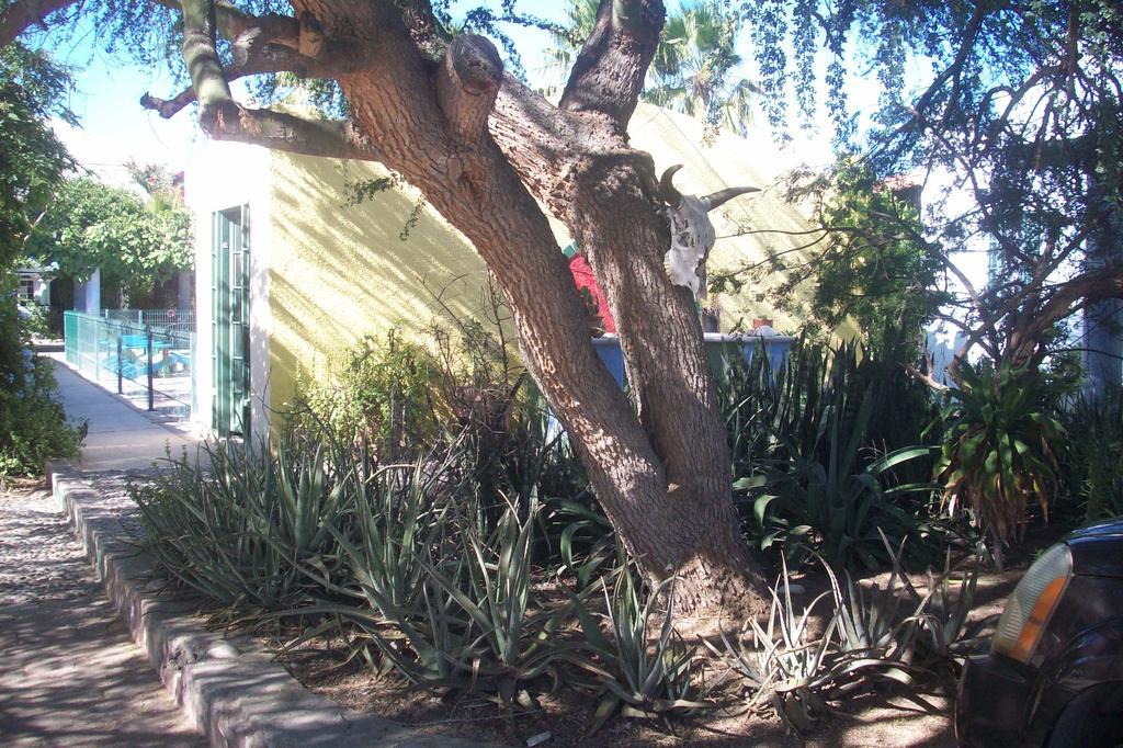 Casabuena B&B La Paz Luaran gambar